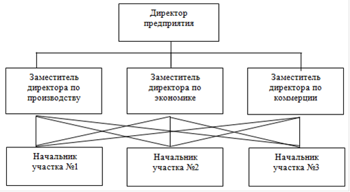 Курсовая работа: Разработка организационно управленческой структуры производственного предприятия